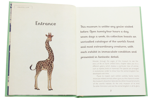 Паперова книга «Animalium. Mini Gift Edition», автор Дженні Брум - фото №1