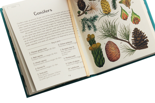 Паперова книга «Botanicum. Mini Gift Edition», автор Кесі Вілліс - фото №1