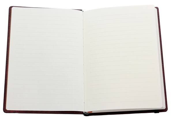  «Записная книжка Paperblanks Расшитое великолепие Роза средняя в линию (PB1205-4)», бренда Paperblanks - фото №1