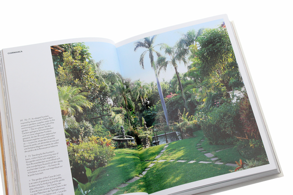 Бумажная книга «Living in Mexico», авторов Барбара Стоэльти, Рене Стоэлти - фото №1