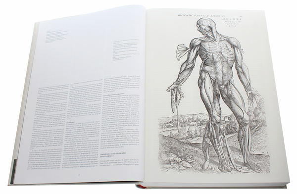 Бумажная книга «Bourgery. Atlas of Human Anatomy and Surgery», авторов Жан-Мари Ле Минор, Анри Сик - фото №1