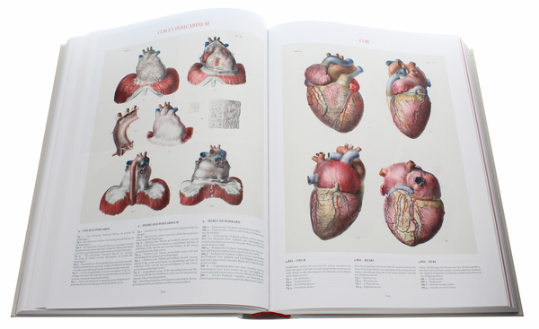 Книга «Bourgery. Atlas of Human Anatomy and Surgery» – Жан-Мари Ле