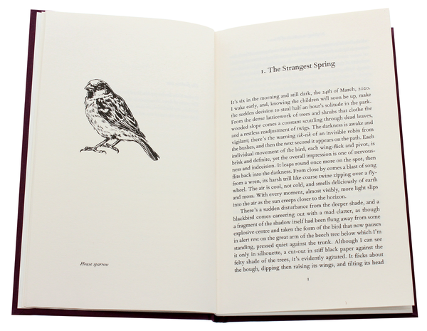 Паперова книга «Birdsong in a Time of Silence», автор Стівен Ловатт - фото №1