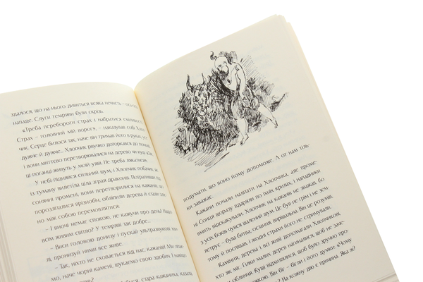Бумажная книга «Велика казка про маленького Хлопчика», автор Петр Антып - фото №1
