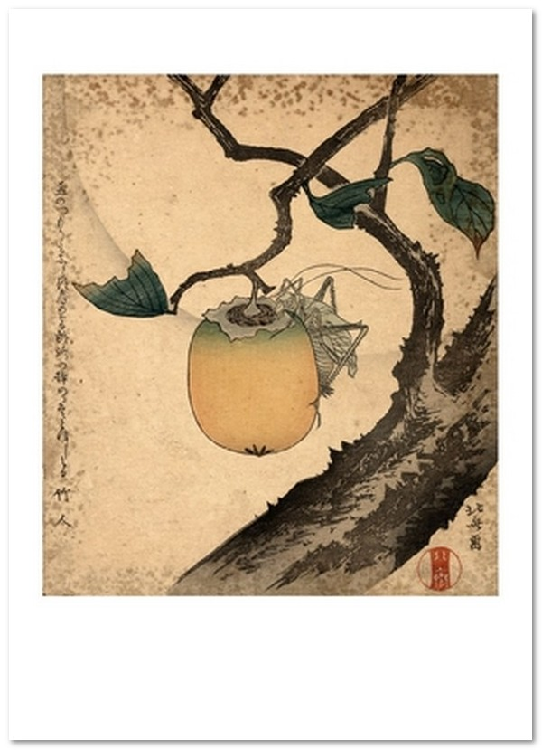 «Открытка Katsushika Hokusai — Kaki ni Kirigirisu (KH30)», бренда Artistic Card - фото №1
