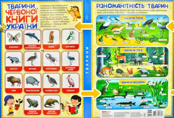 Паперова книга «Тварини. Міні-лепбук. НУШ» - фото №1