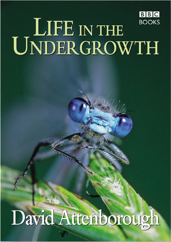 Паперова книга «Life in the Undergrowth», автор Девід Аттенборо - фото №1