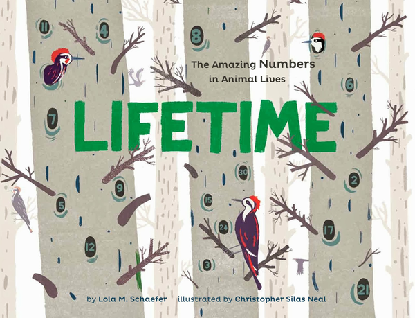 Бумажная книга «Lifetime», автор Лола М. Шефер - фото №1