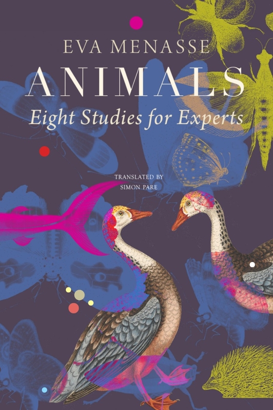 Бумажная книга «Animals. Eight Studies for Experts», автор Ева Менассе - фото №1