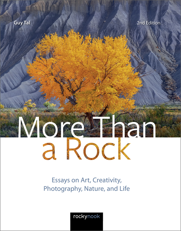 Бумажная книга «More Than A Rock», автор Гай Таль - фото №1