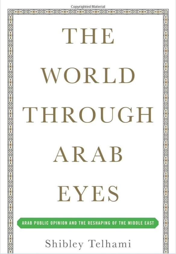 Бумажная книга «The World Through Arab Eyes : Arab Public Opinion and the Reshaping of the Middle East», автор Шибли Тельхами - фото №1