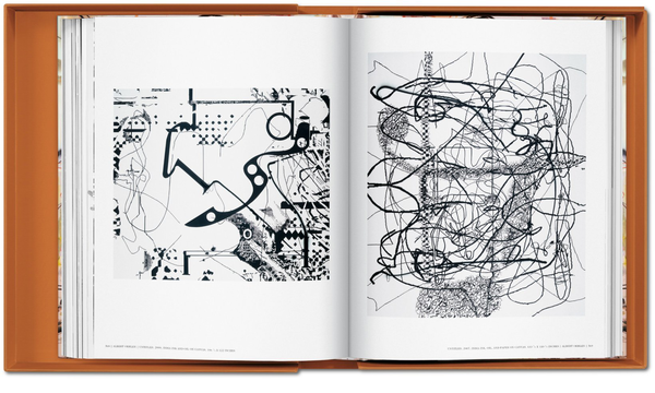 Бумажная книга «Albert Oehlen. Art Edition», авторов Роберто Орт, Клаус Кертесс - фото №1