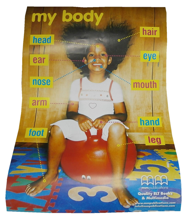 Паперова книга «My Body. Poster» - фото №1