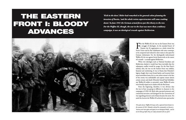 Бумажная книга «Personal Accounts of the Waffen-SS», автор Гордон Уильямсон - фото №1