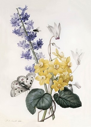  «Листівка Hyacinth, Cyclamen and Narcissi (PJR21)», бренда Artistic Card - фото №1