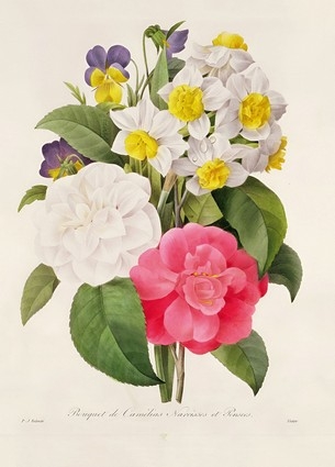 «Листівка Camellias, Narcissus and Pansies, engraved by Victor, p. 1827 (PJR24)», бренда Artistic Card - фото №1