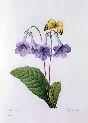 «Листівка Gloxinia (PJR32)», бренду Artistic Card - фото №1