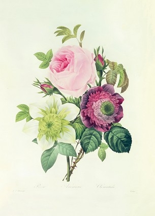 «Листівка Rose, anemone and Clematide (PJR36)», бренда Artistic Card - фото №1