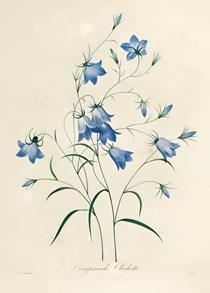 «Листівка Bluebells, 1827-33 (PJR39)», бренда Artistic Card - фото №1