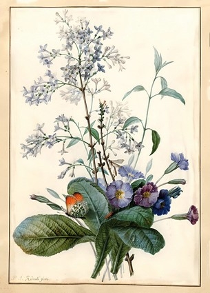 «Листівка A Bouquet of Flowers with Insects (PJR48)», бренда Artistic Card - фото №1