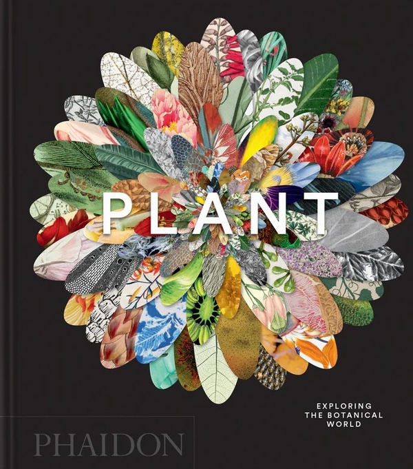 Бумажная книга «Plant: Exploring the Botanical World», автор Редакторы "Phaidon" - фото №1