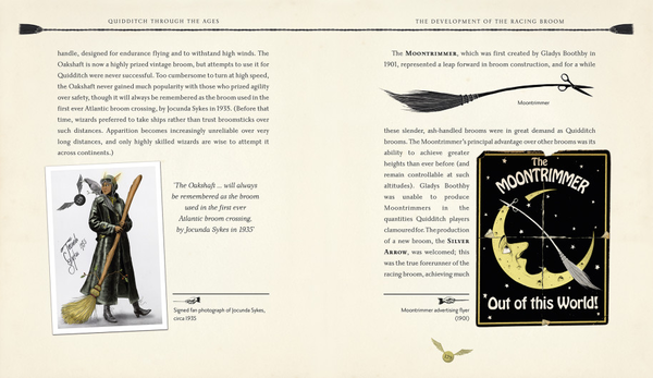 Паперова книга «Quidditch Through the Ages - Illustrated Edition», автор Джоан Ролінґ - фото №1
