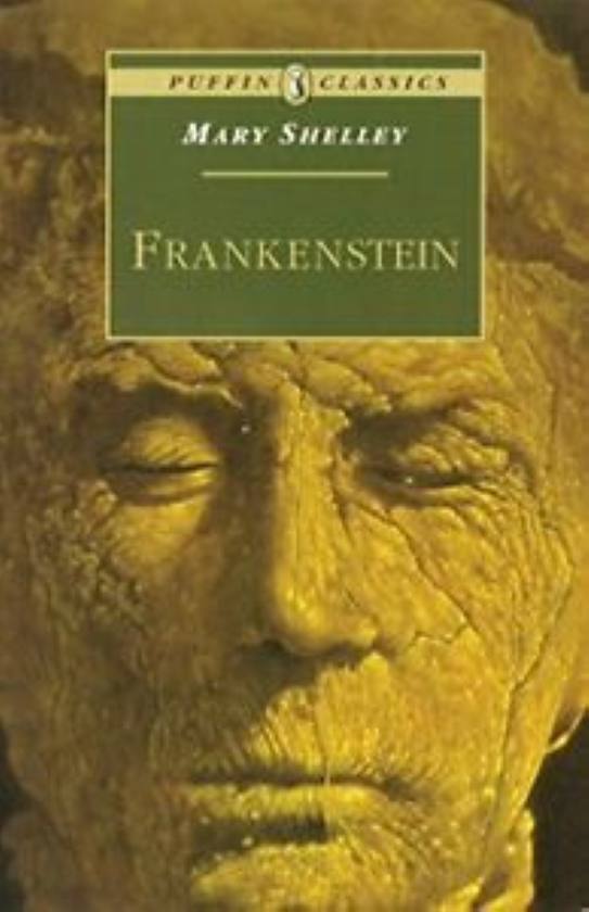 Бумажная книга «Frankenstein», автор Мэри Шелли - фото №1