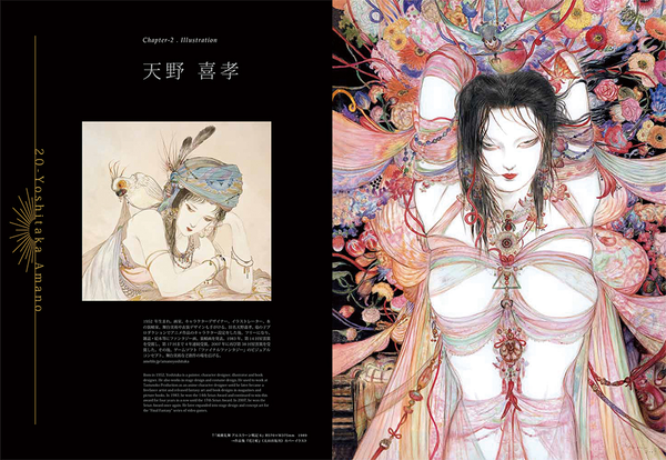 Паперова книга «Japanese Erotica in Contemporary Art: Paintings, Illustrations, Dolls and more» - фото №1