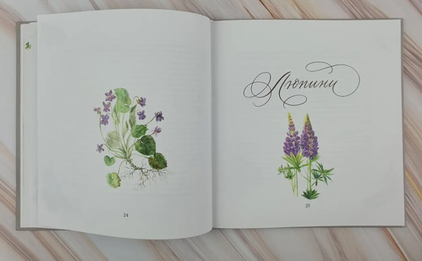 Бумажная книга «Сад казок», автор Юлианна Караман - фото №1