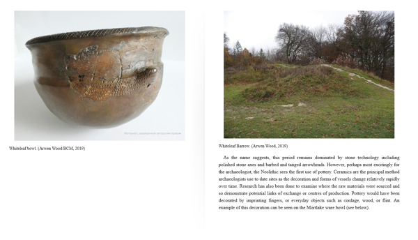 Бумажная книга «50 Finds from Buckinghamshire», автор Арвен Вуд - фото №1