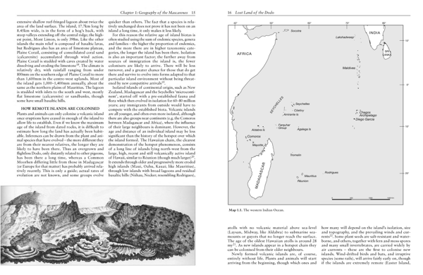 Бумажная книга «Lost Land of the Dodo», автор Энтони Чеке - фото №1