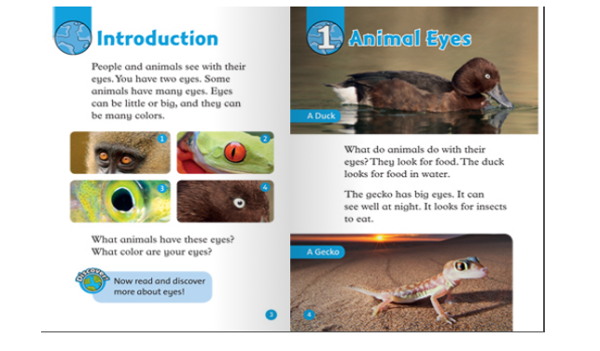 [object Object] «Oxford Read and Discover: Level 1: Eyes», автор Роб Свед - фото №4 - мініатюра
