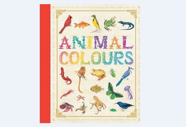Бумажная книга «First Concept: Animal Colours», автор Камилла Бедуайер - фото №1