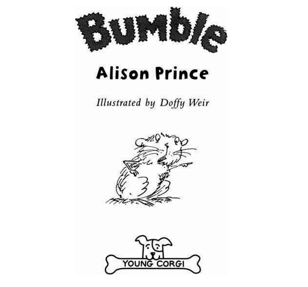 Бумажная книга «Bumble», автор Алисон Принц - фото №1