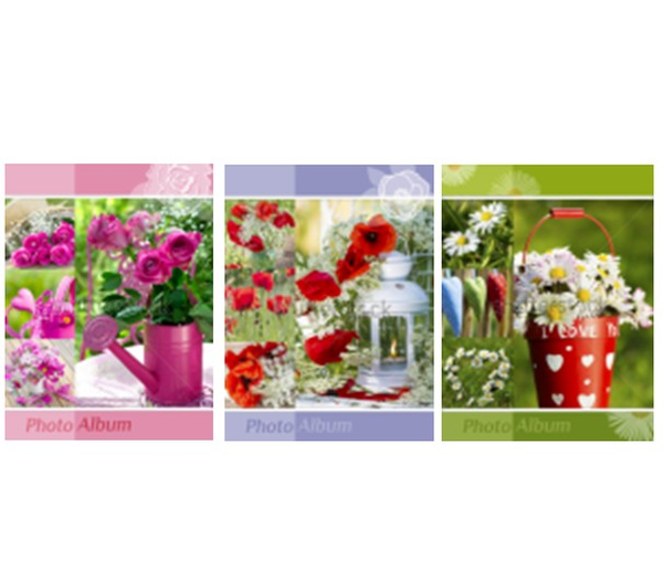 «Фотоальбом EVG Flowers 10x15x200 (6239754)», бренда EVG - фото №1