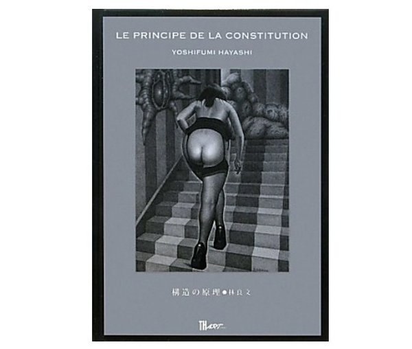 Бумажная книга «La Principe De La Constitution: Illustrations of Yoshifumi Hayashi », автор Есифуми Хаяси - фото №1