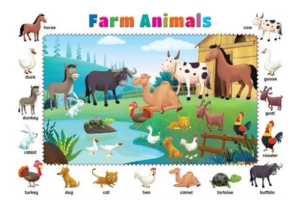 Бумажная книга «My Early Picture Book» - фото №1