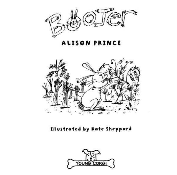 Бумажная книга «Boojer», автор Алисон Принц - фото №1