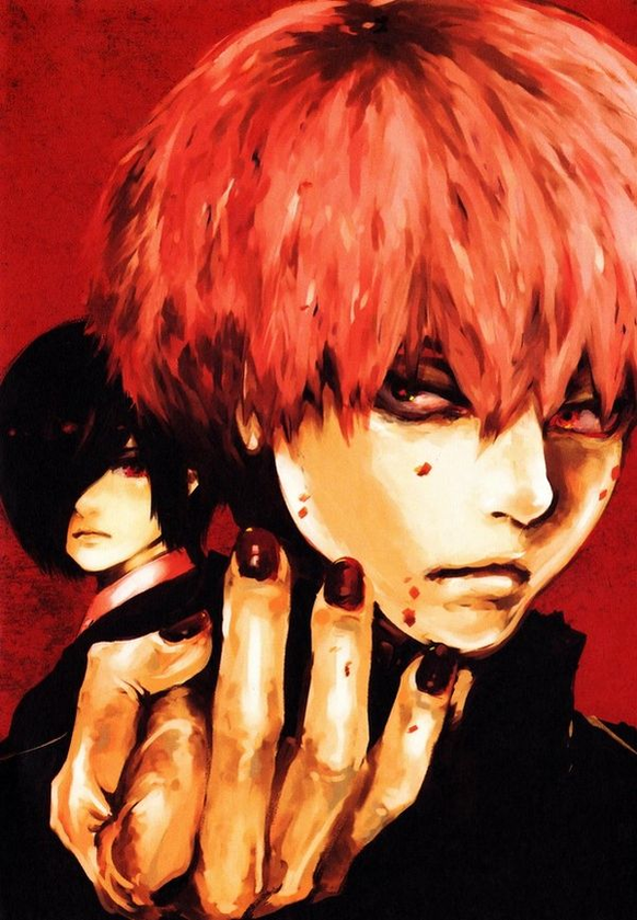 Бумажная книга «Tokyo Ghoul Illustrations: zakki», автор Исида Суи - фото №1
