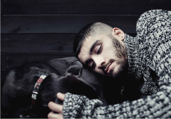 Бумажная книга «Zayn», автор Зейн Малик - фото №1