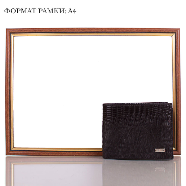  «Кошелек Canpellini (SHI1042)», бренда Canpellini - фото №1