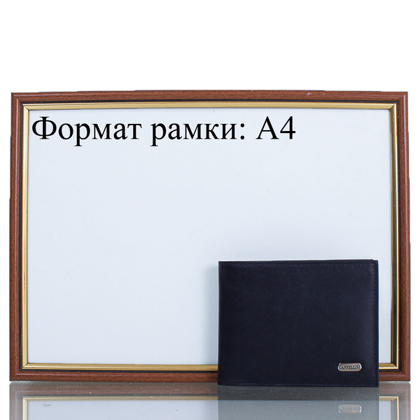 «Портмоне мужское кожаное Canpellini (SHI1043-1)», бренда Canpellini - фото №1