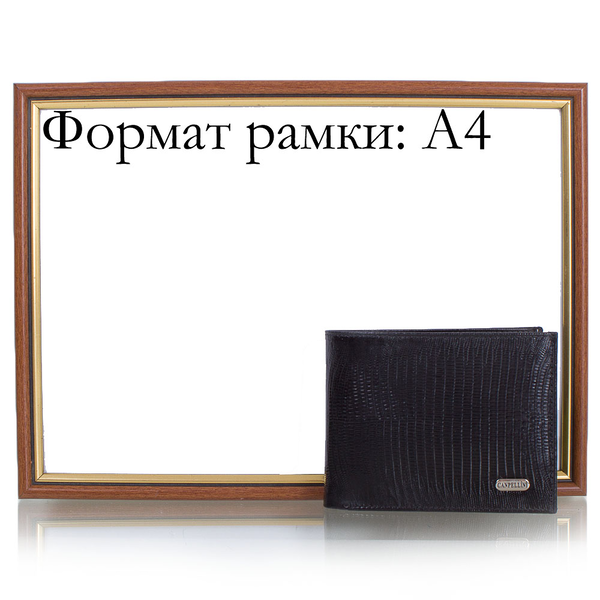 «Портмоне мужское кожаное Canpellini (SHI1043-8)», бренда Canpellini - фото №1