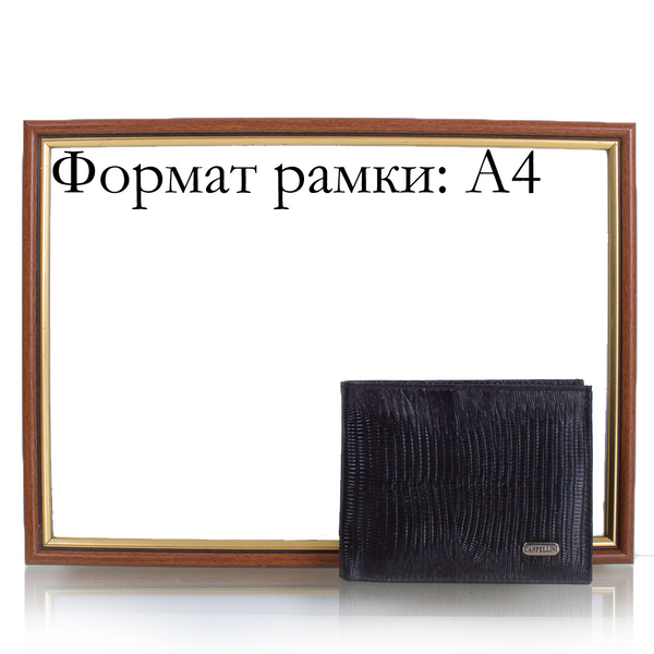  «Мужской кожаный кошелек Canpellini (SHI504-8)», бренда Canpellini - фото №1