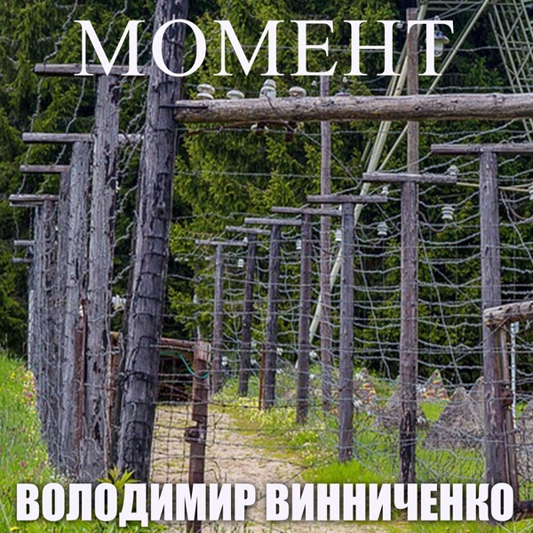 Аудиокнига «Момент», автор Владимир Винниченко - фото №1