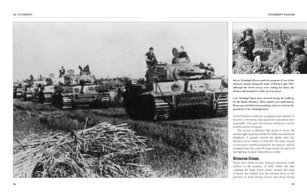 Бумажная книга «SS Totenkopf», автор Крис Манн - фото №1