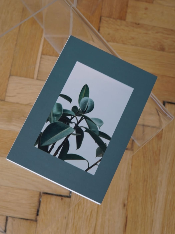 «Блокнот Hod.brand Plants (30030000050)», бренда Hod.brand - фото №1