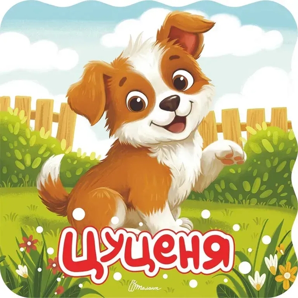 Бумажная книга «Цуценя», автор Владимир Верховень - фото №1