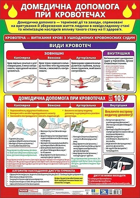 [object Object] «Домедична допомога при кровотечах. Плакат» - фото №1