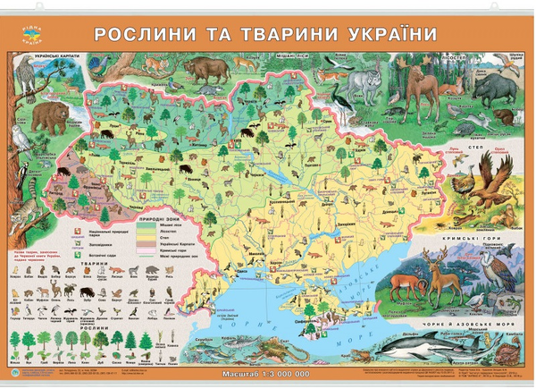 Карта Рослини та тварини України. 1:3 000 000